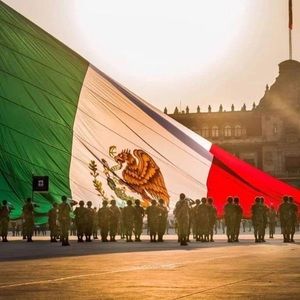 Meet your Posher, Alan